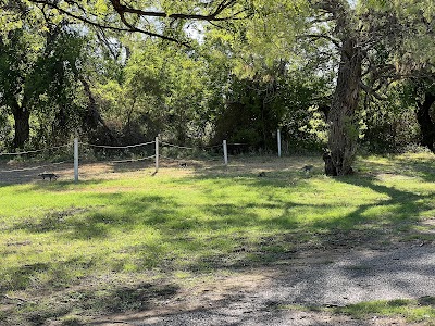 Lake Knifrim County Park - Bronte, Texas campground
