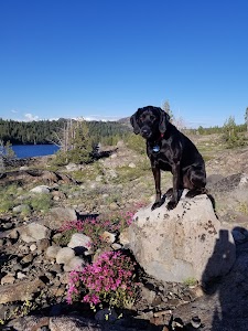 Lodgepole - Nevada City, California campground