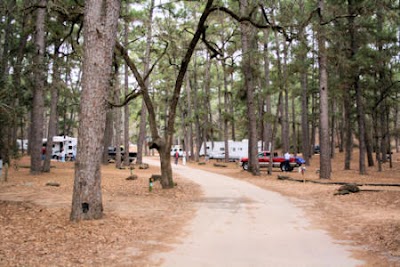 Bastrop State Park - Bastrop, Texas