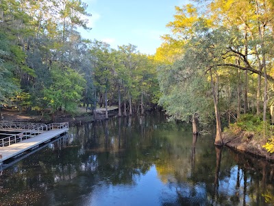 Oleno State Park - High Springs, Florida campground