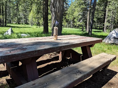 Sagehen Creek - Ola, Idaho campground
