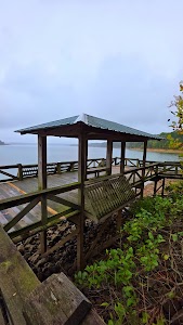 Twin Creek - Lake Ouachita - Mount Ida, Arkansas campground