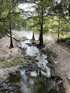 Suwannee River State Park - Live Oak, Florida campground