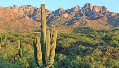Catalina State Park campground