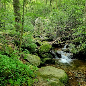 Rock Creek Rec Area - Unicoi, Tennessee