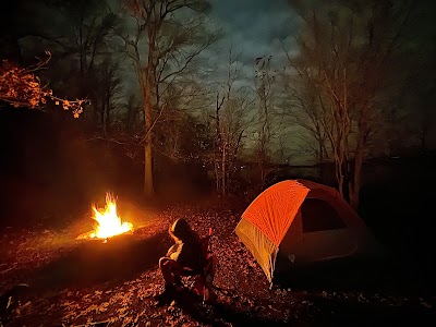 Gatlin Point Self-Service Campground & Boat Ramp - Dover, Tennessee campground