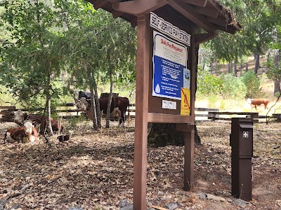 Mad River - Mad River, California campground