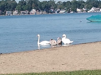Steuben County Park - Angola, Indiana campground
