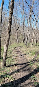 Hacklebarney Woods County Park - Villisca, Iowa campground