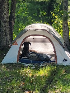 Lake Dubonnet Trail Camp - State Forest - Interlochen, Michigan campground