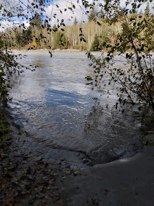 Forks - Bishop, California campground