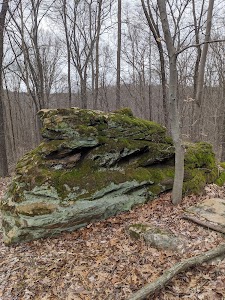 Newton Stewart  State Rec Area - Patoka Lake - Eckerty, Indiana campground