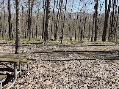 Sawmill Lake County Park - Birchwood, Wisconsin campground