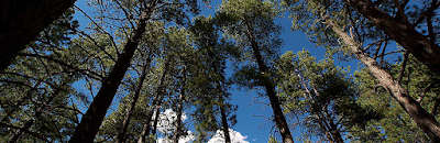 Manzano Mountains State Park - Mountainair, New Mexico campground