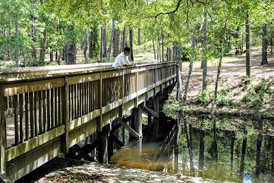 Sesquicentennial State Park - Columbia, South Carolina campground