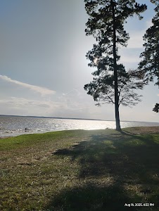 Converse Bay Rec Area - Toledo Bend Lake - Converse, Louisiana campground
