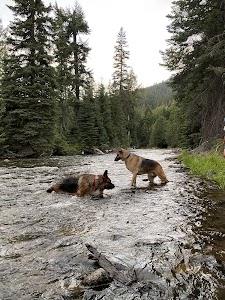 Cougar Flat - Naches, Washington campground