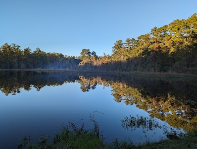 Barnwell State Park - Blackville, South Carolina campground