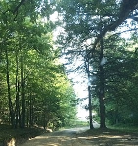 Hays Crossing - Sardis Lake - Como, Mississippi campground