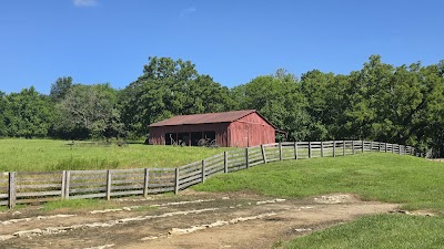 Watkins Mill State Park - Kearney, Missouri campground
