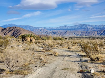 Borrego Palm Canyon  - Anza Borrego Desert State Park - Borrego Springs, California campground
