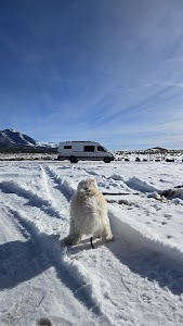 Ward Mountain - Ruth, Nevada campground
