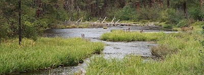 Riverside - Camp Sherman, Oregon campground