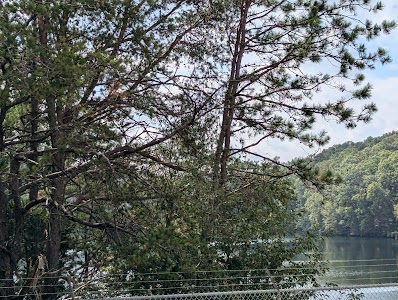 Wood Creek Lake Ramp - DFWR - London, Kentucky campground