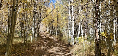 Green Creek - Bridgeport, California campground