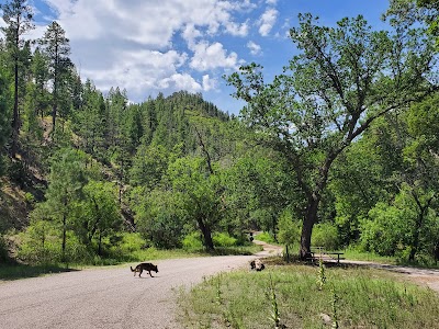 Gallinas - Upper - San Lorenzo, New Mexico campground