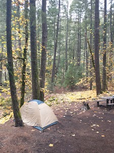 Ripstein - Junction City, California campground