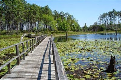 Seminole State Park - Donalsonville, Georgia campground