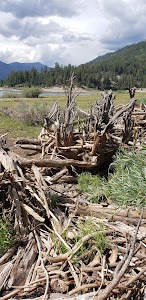 Pine Point Campground - Bayfield, Colorado campground