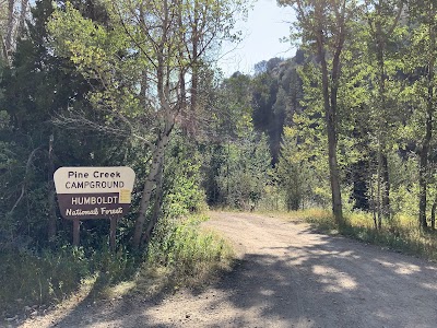 Pine Creek National Forest Campground campground