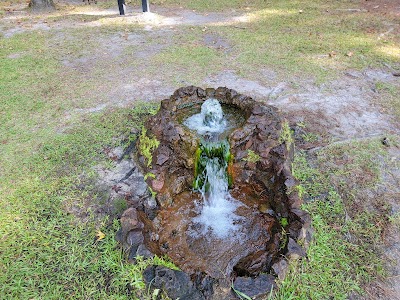 Lee State Park - Bishopville, South Carolina campground