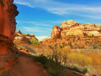 Calf Creek - Boulder, Utah campground