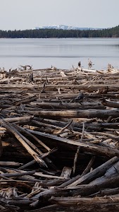 Lake Fork - McCall, Idaho campground