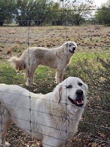 Richards City Park - Brady, Texas campground