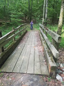 Sugar Bay - LBL - Benton, Kentucky campground