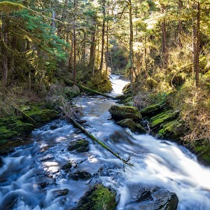 Settlers Cove State Rec Area - Ketchikan, Alaska campground