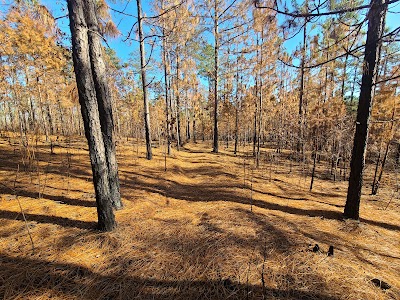 Coleman Lake Rec Area - Fruithurst, Alabama