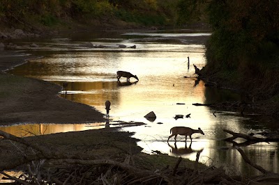 Kilen Woods State Park - Lakefield, Minnesota campground
