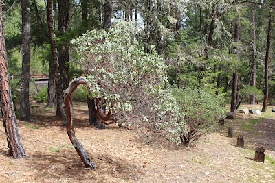 Watkins - Jacksonville, Oregon campground