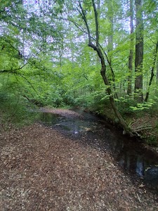 Pocket - Armuchee, Georgia campground