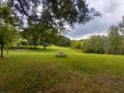 Wabasis Lake County Park - Greenville, Michigan campground
