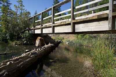 Spalding Pond - Selma, Oregon campground