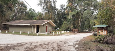 Hog Island - Withlacoochee State Forest - Bushnell, Florida campground