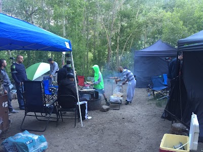 Willow - Bishop, California campground