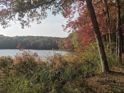 Whelan Lake - Custer, Michigan campground