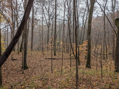 Big Oaks - State Forest - Atlanta, Michigan campground